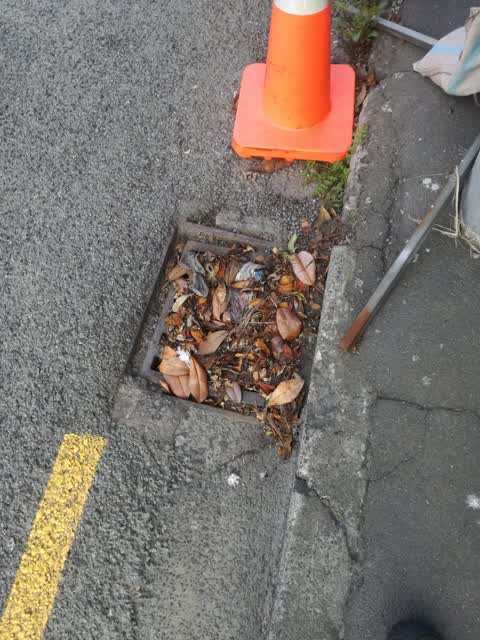 Wastewater/Stormwater — a report photo