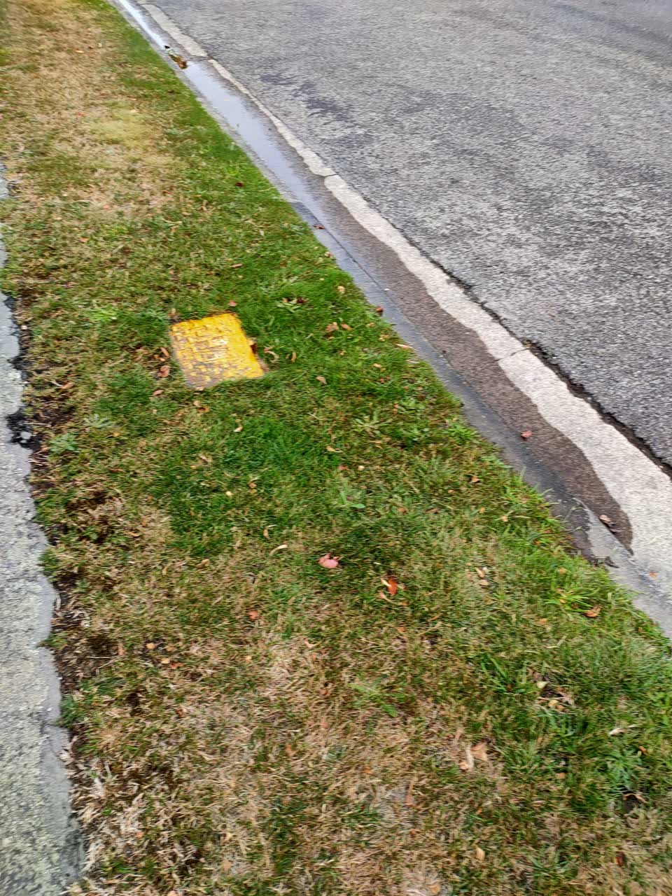 The photograph attached to this water leak report