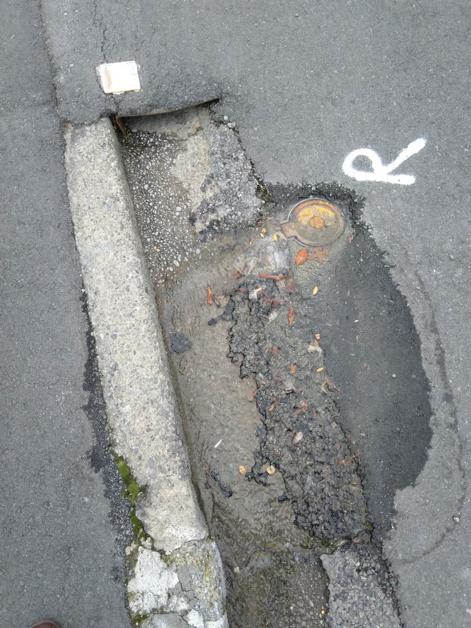 The photograph attached to this water leak report