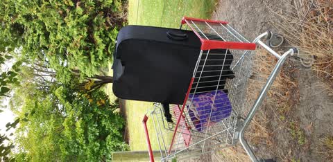 Rubbish/Recycling — a report photo