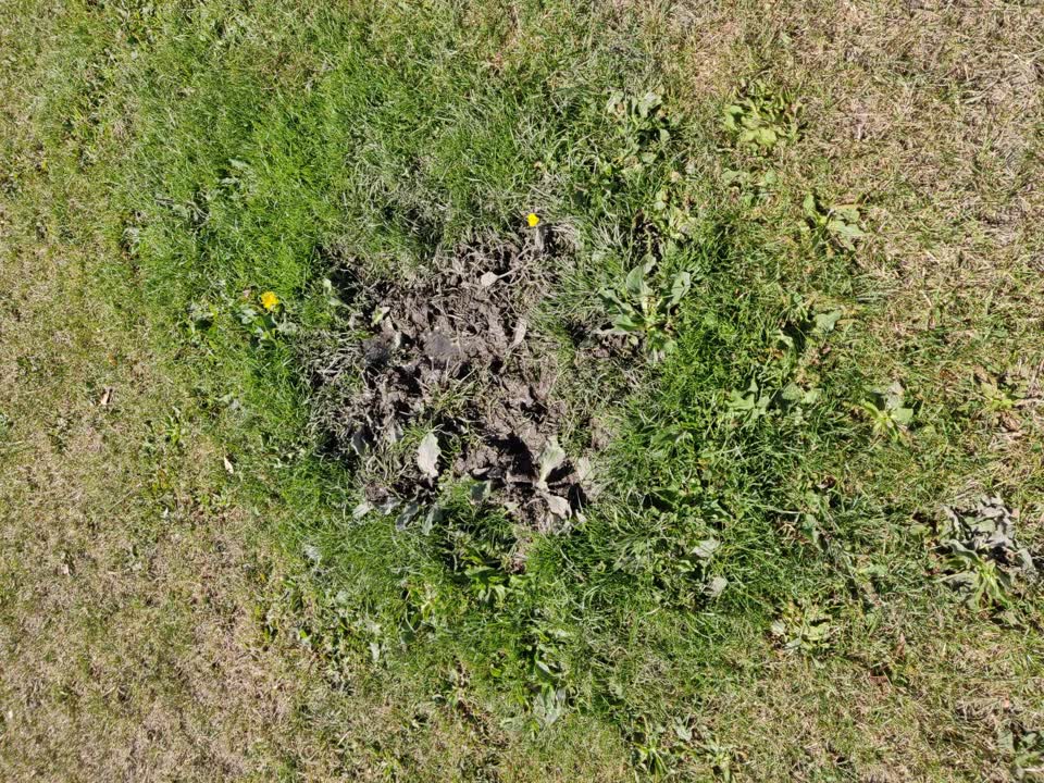 The photograph attached to this parks report