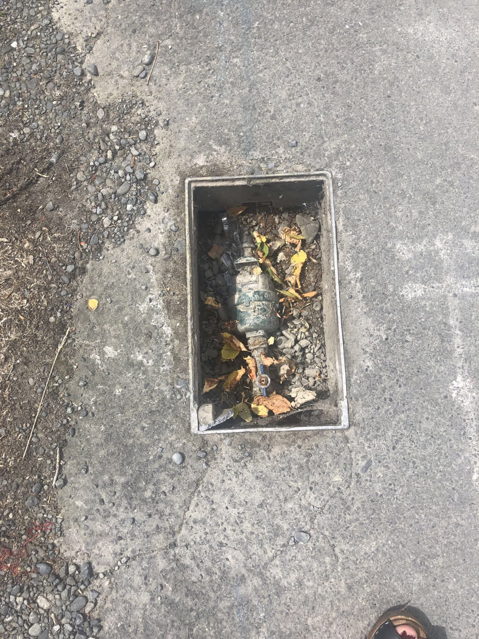 The photograph attached to this water supply report