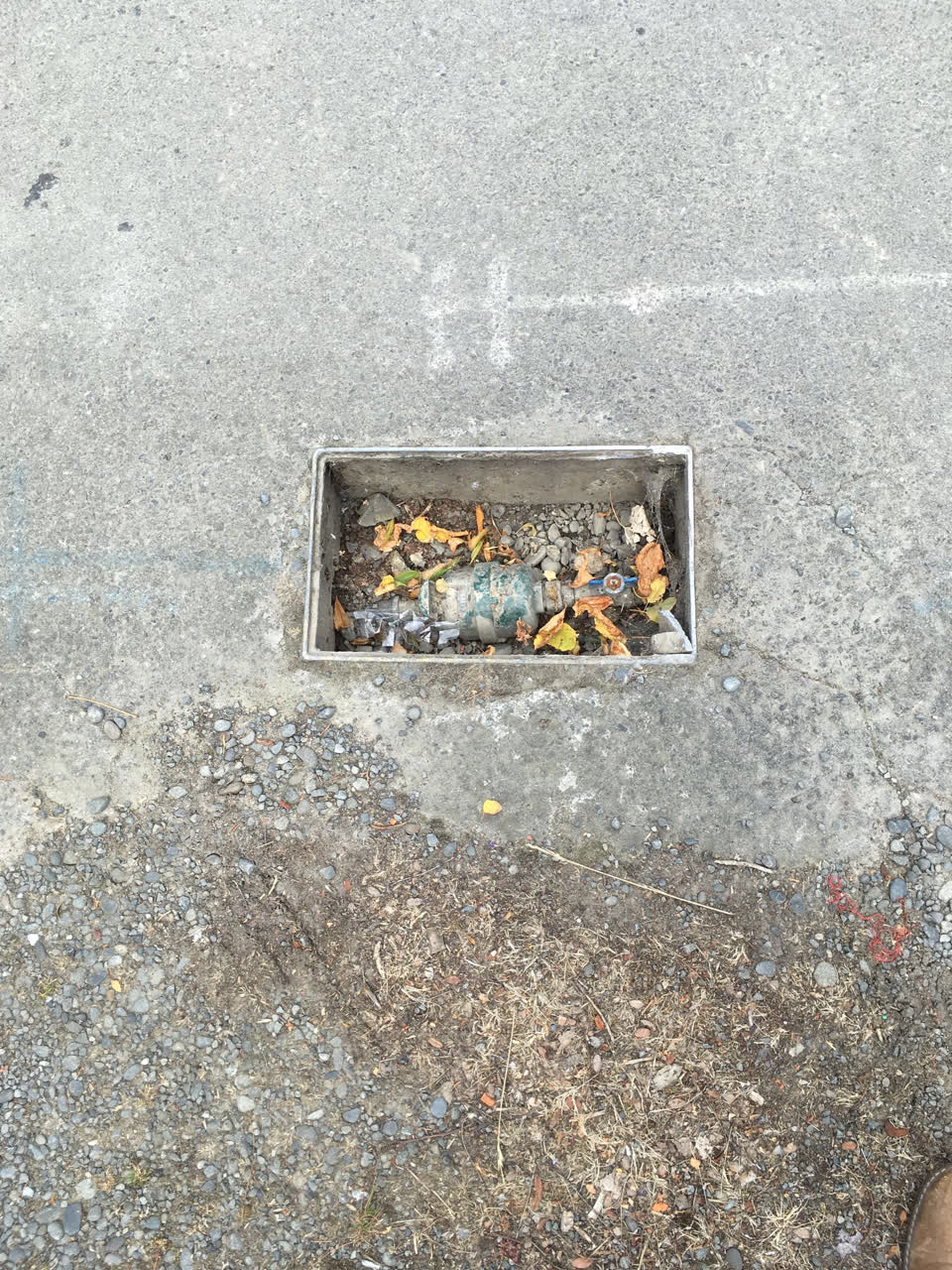The photograph attached to this water supply report