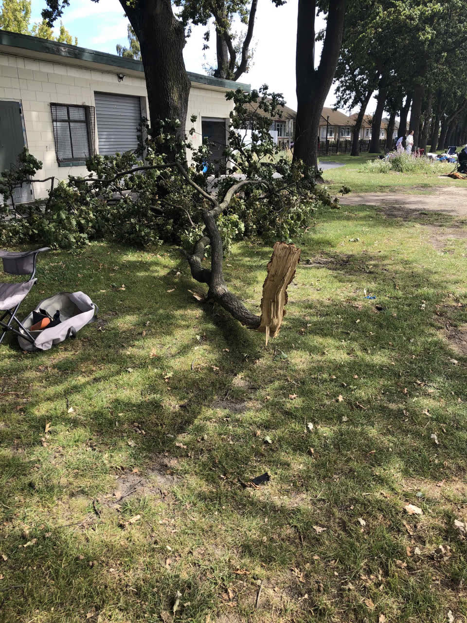 The photograph attached to this parks report