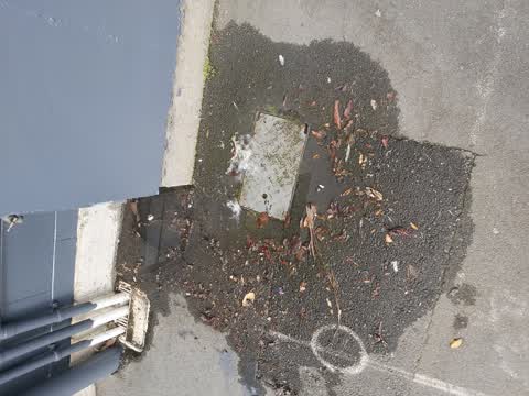 Water Leak, a report photo