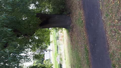 Parks, a report photo