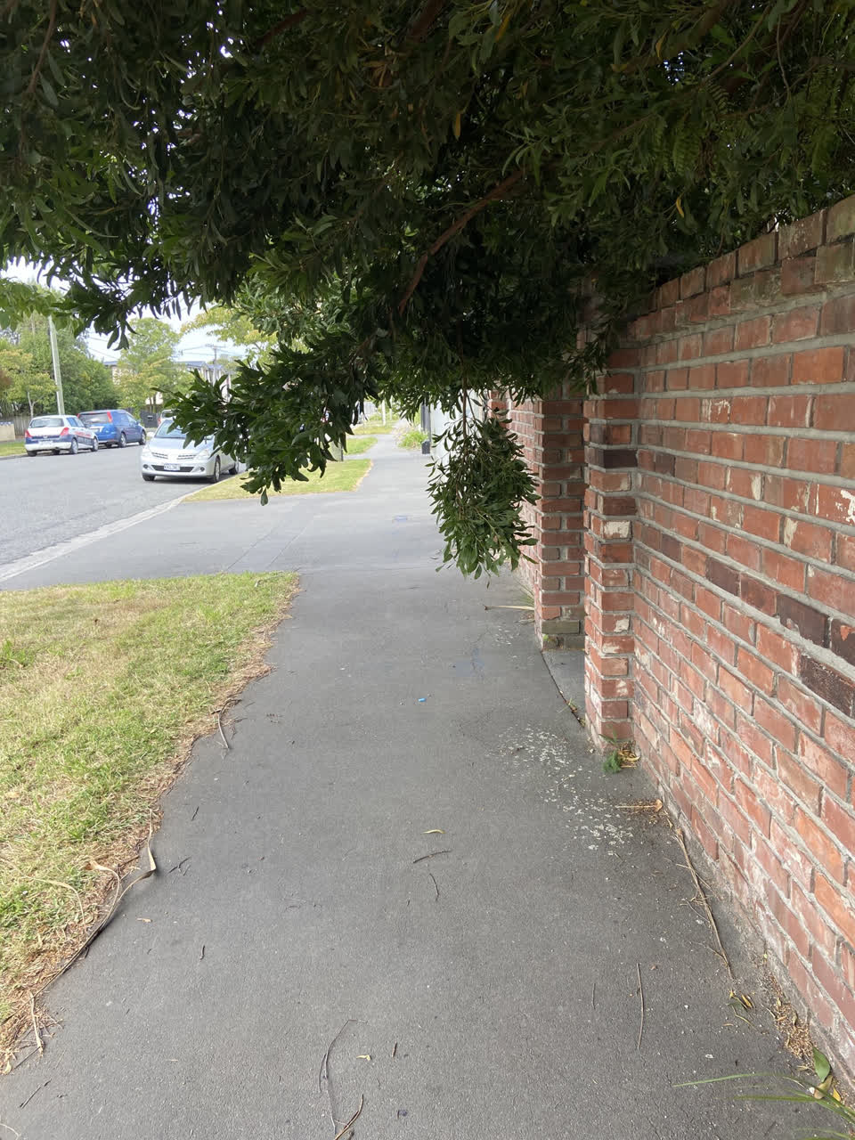 The photograph attached to this roading/streets report