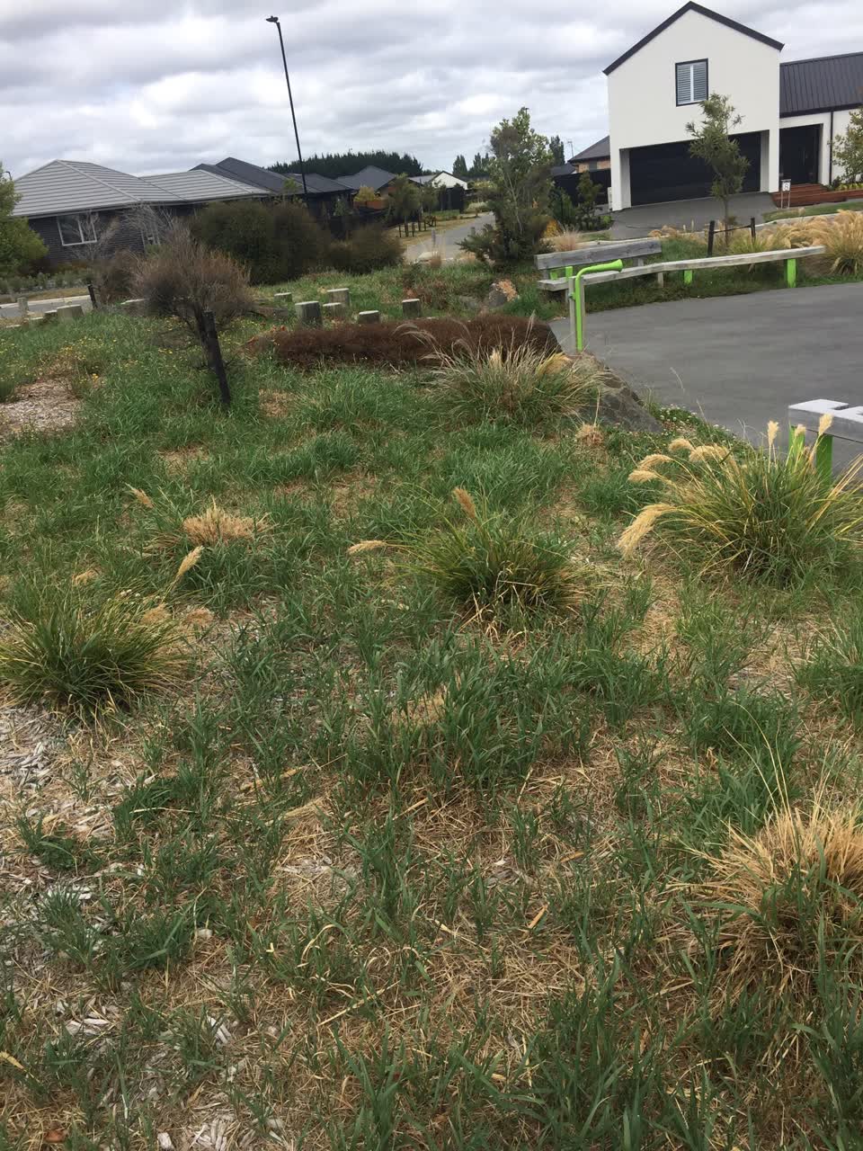 The photograph attached to this parks report