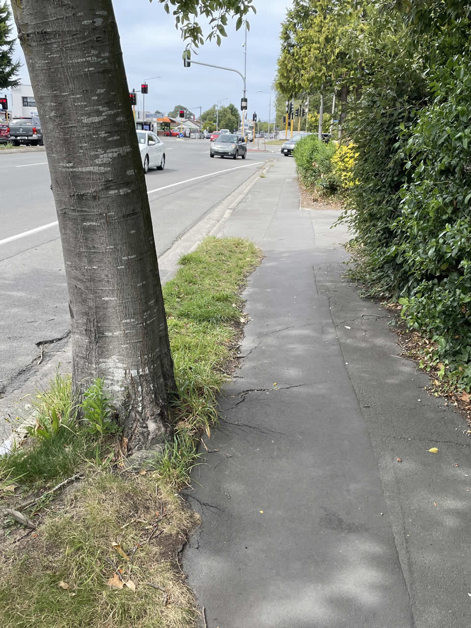 The photograph attached to this roading/streets report