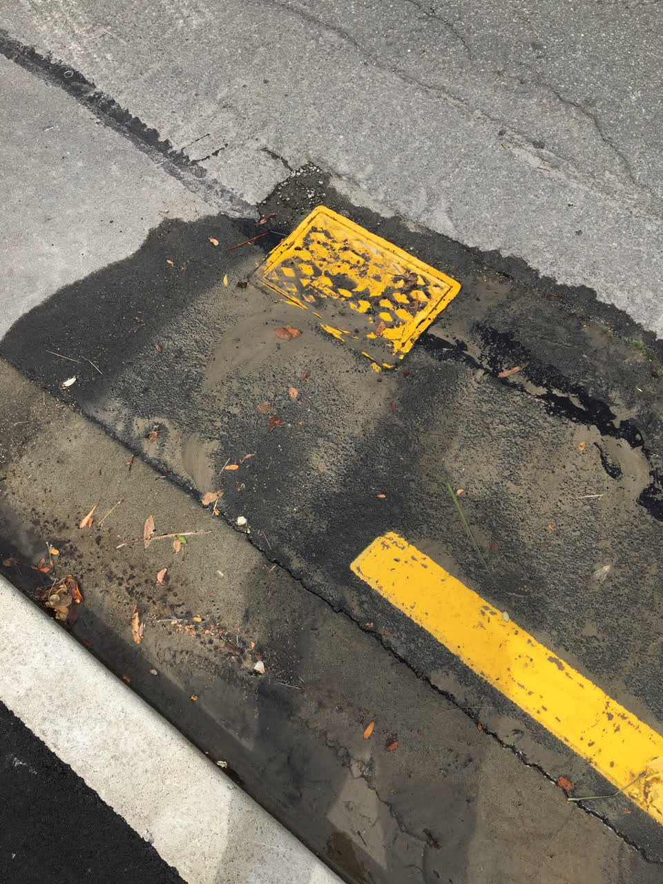 The photograph attached to this water leak report