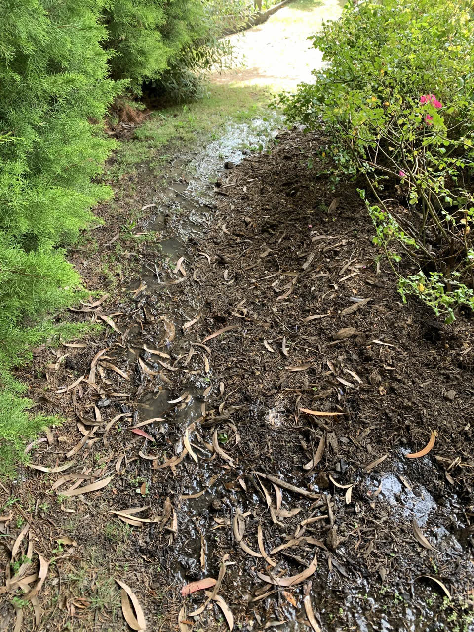 The photograph attached to this water leak report