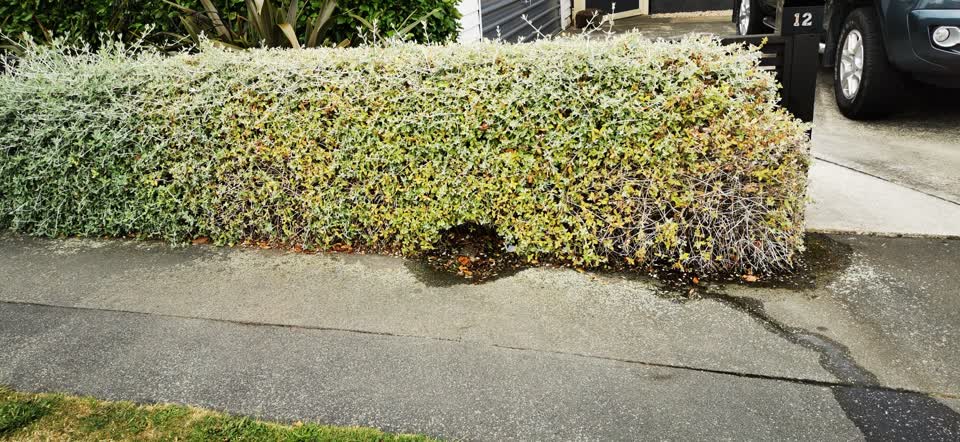 The photograph attached to this water leak report