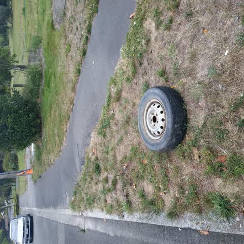 Rubbish/Recycling, a report photo
