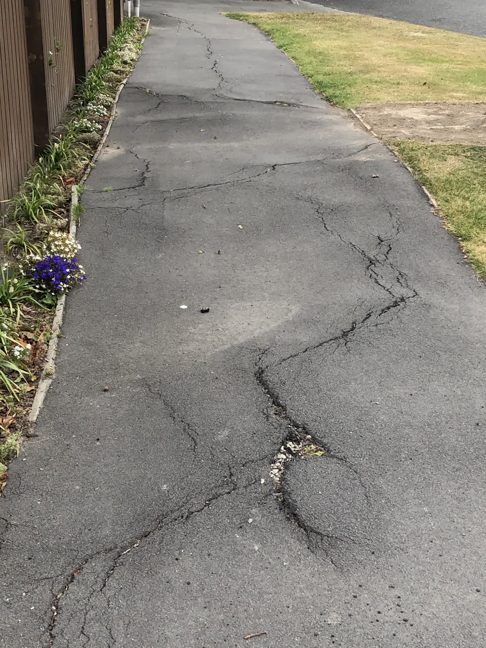 The photograph attached to this street light outage report