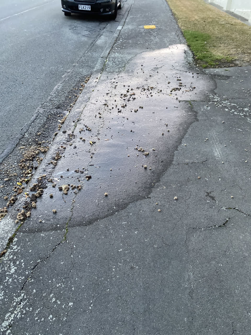 The photograph attached to this water leak report