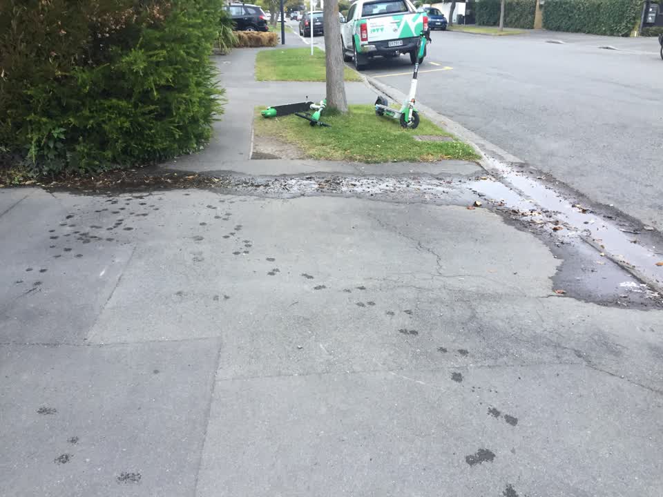 The photograph attached to this water leak report