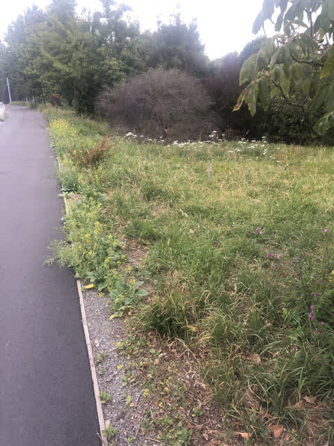 Roading/Streets, a report photo