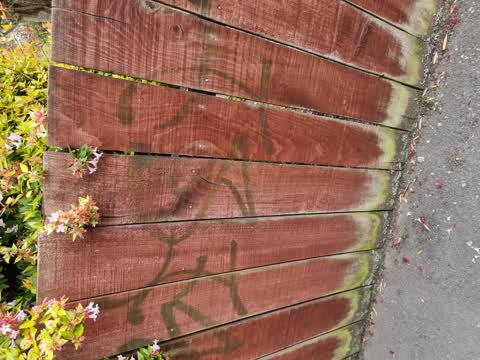 Graffiti, a report photo