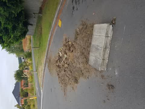 Rubbish/Recycling, a report photo