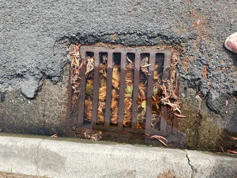 Wastewater/Stormwater — a report photo