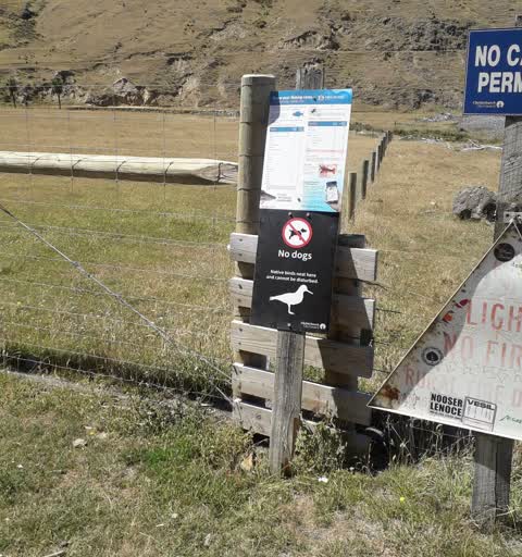 Roading/Streets, a report photo