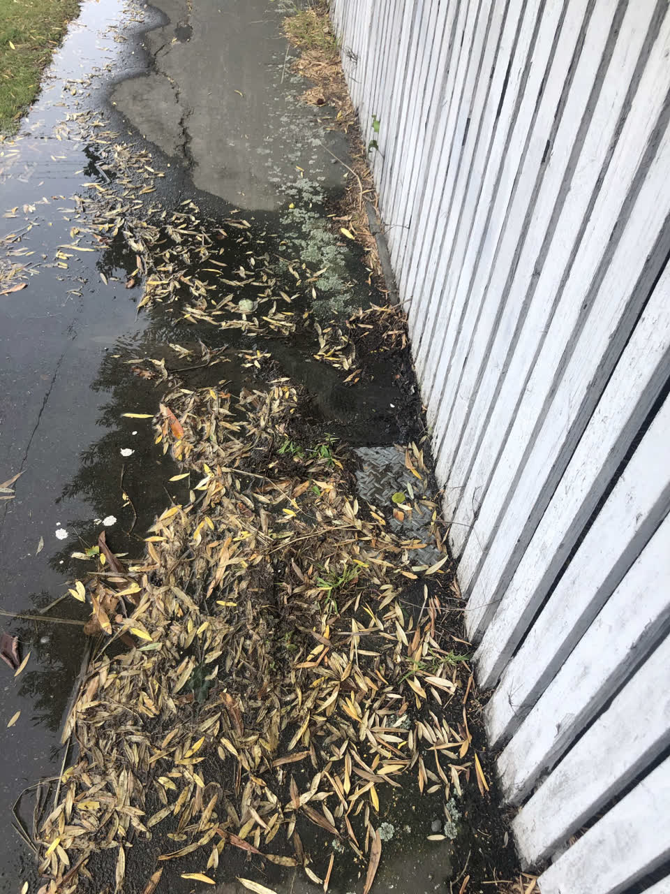 The photograph attached to this sewer - leak / blockage report