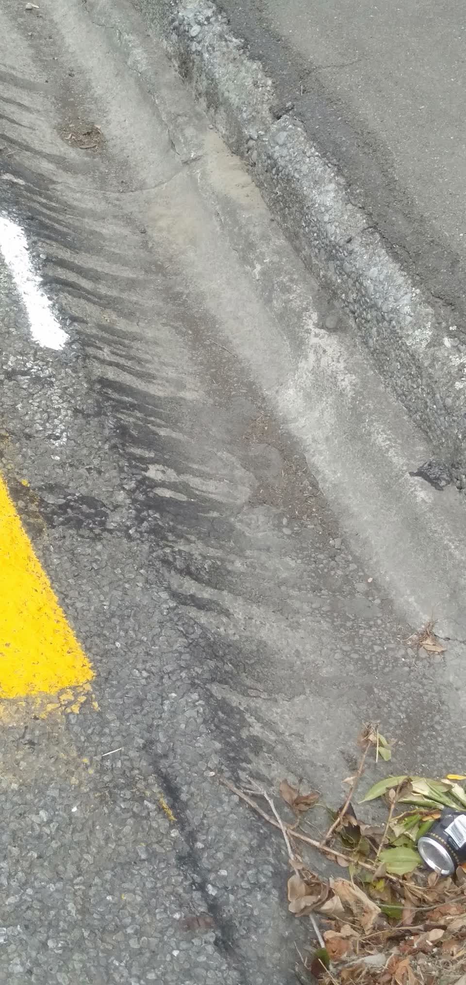 The photograph attached to this wastewater/stormwater report