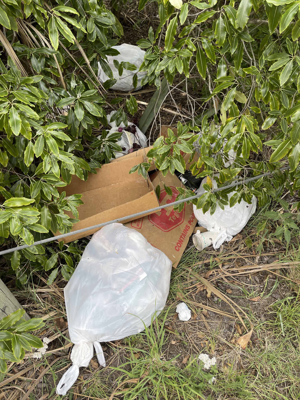 The photograph attached to this rubbish/recycling report
