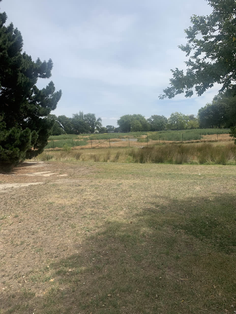 The photograph attached to this parks report