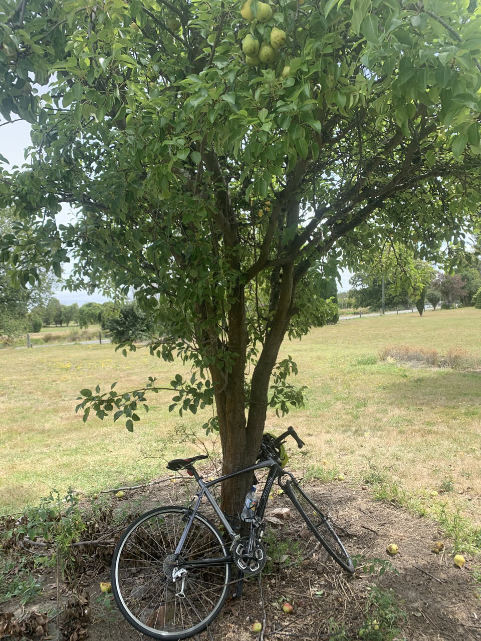 The photograph attached to this parks report