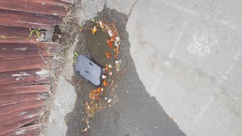 Water Supply, a report photo