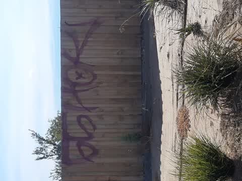 Graffiti, a report photo