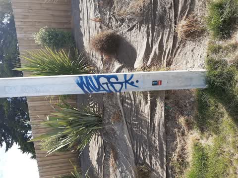 Graffiti, a report photo