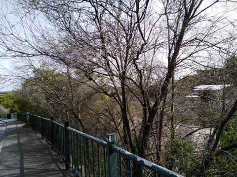 Roading/Streets, a report photo