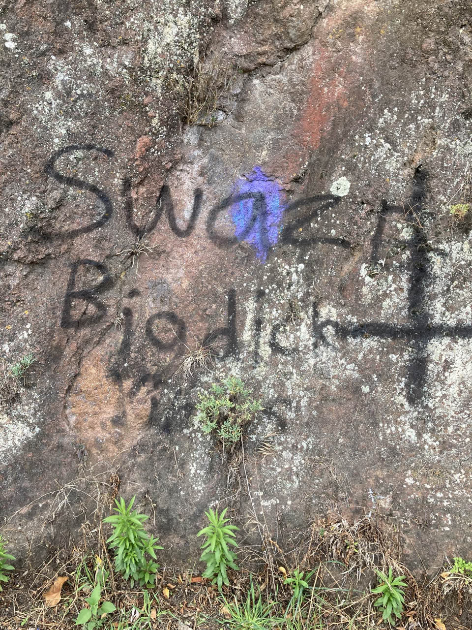 The photograph attached to this graffiti report