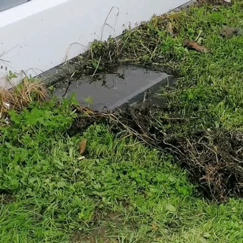 Water Leak, a report photo