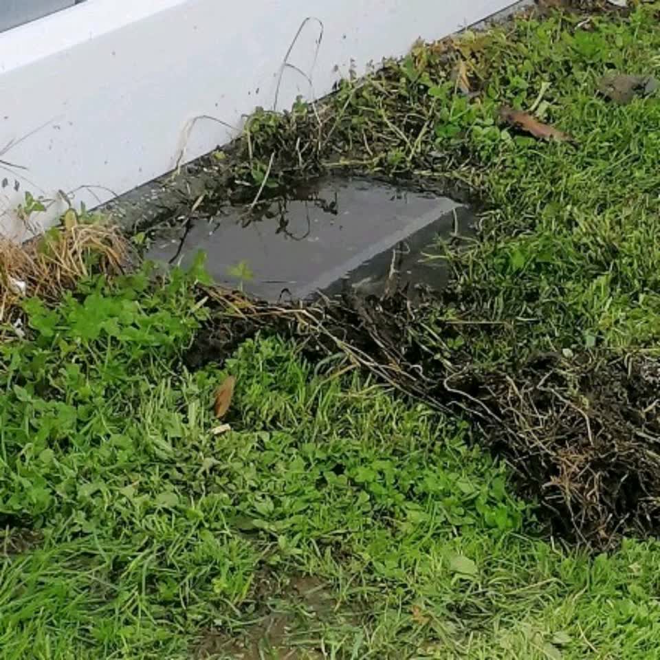 The photograph attached to this water leak report