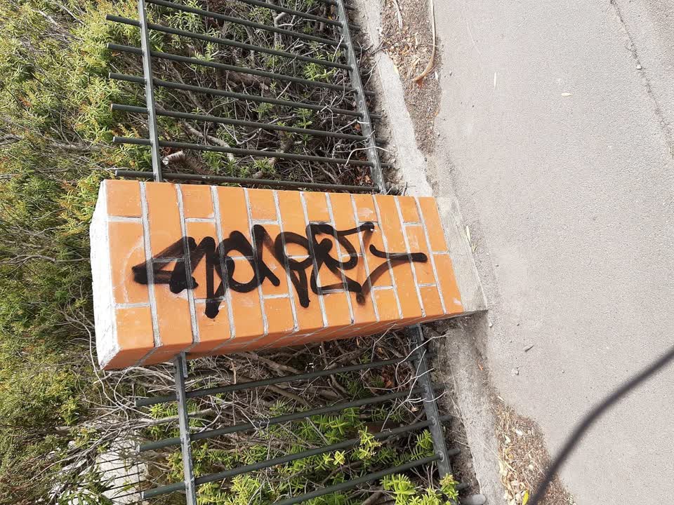 The photograph attached to this graffiti report