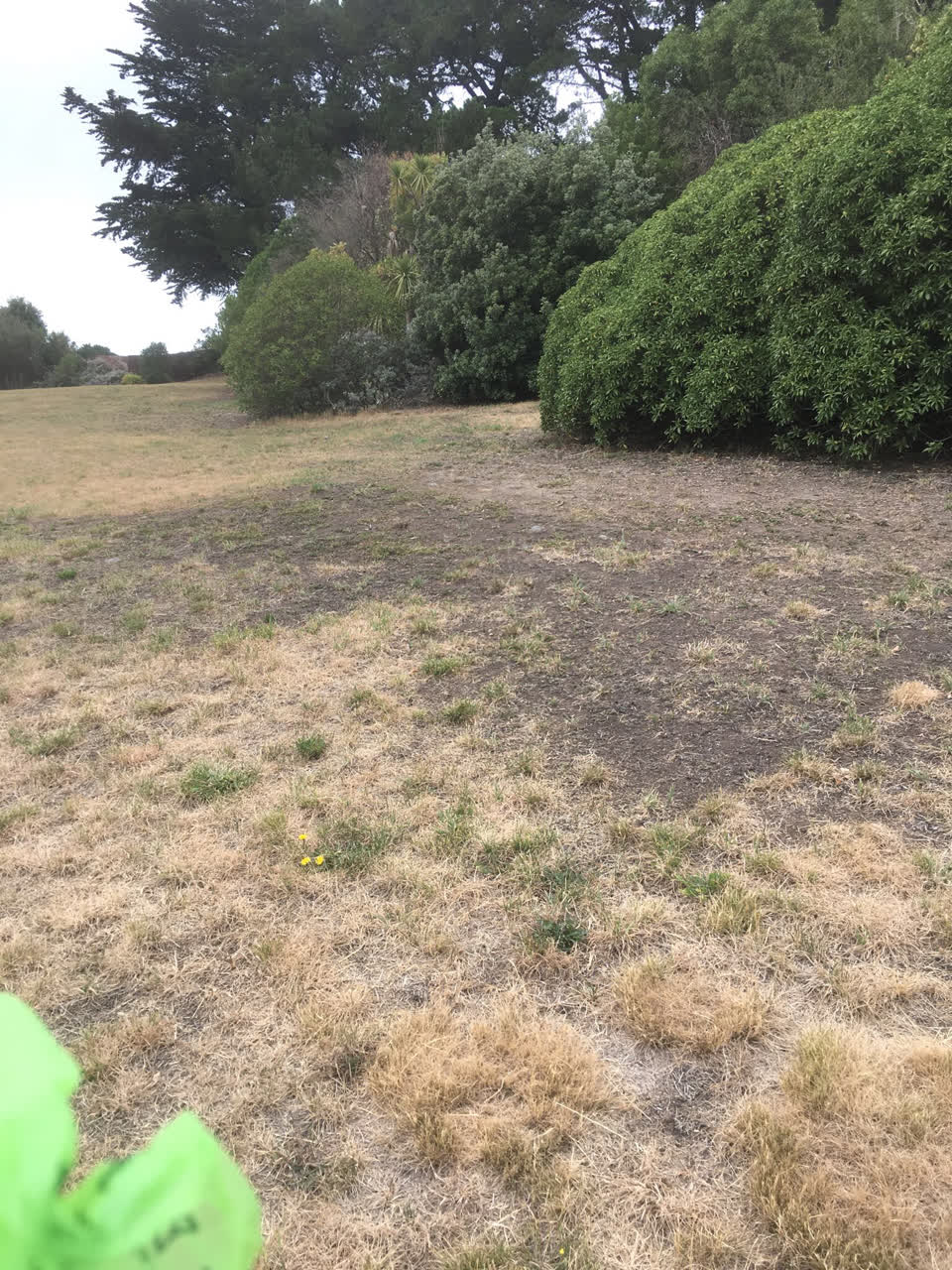The photograph attached to this parks report