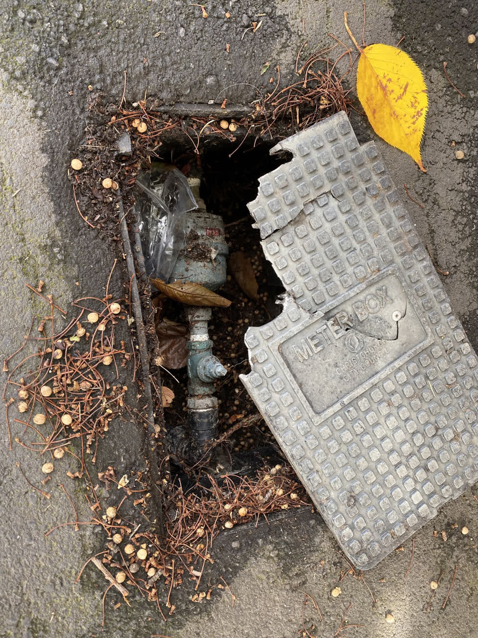 The photograph attached to this roading/streets report