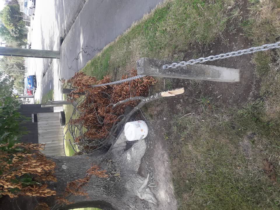 The photograph attached to this parks report