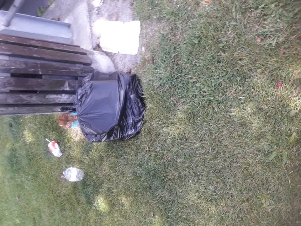 The photograph attached to this parks report