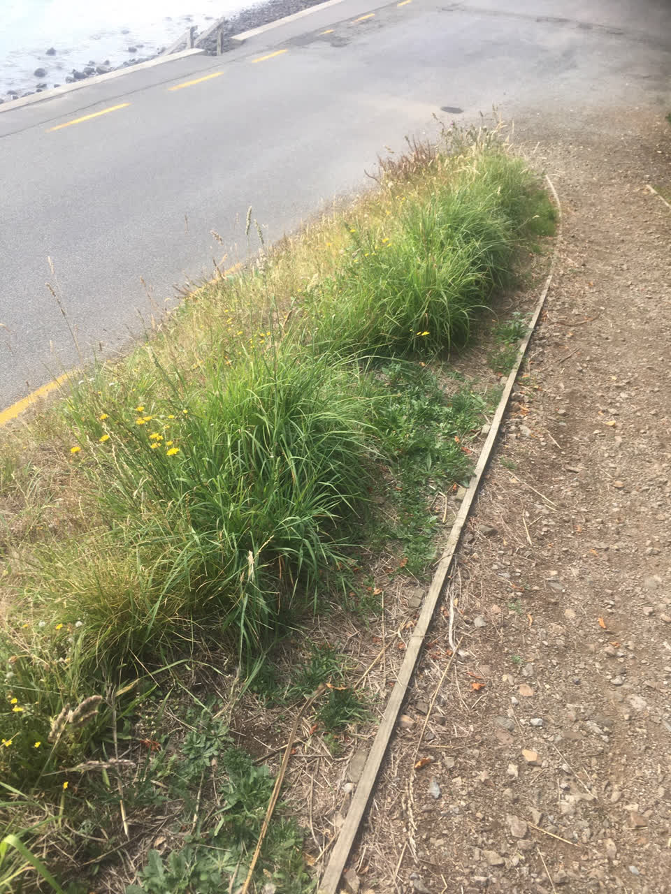 The photograph attached to this parks report
