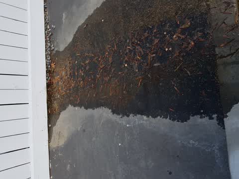 Water Leak, a report photo