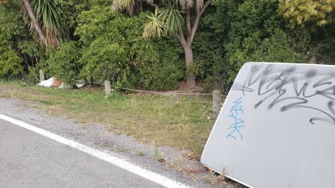 Rubbish/Recycling, a report photo