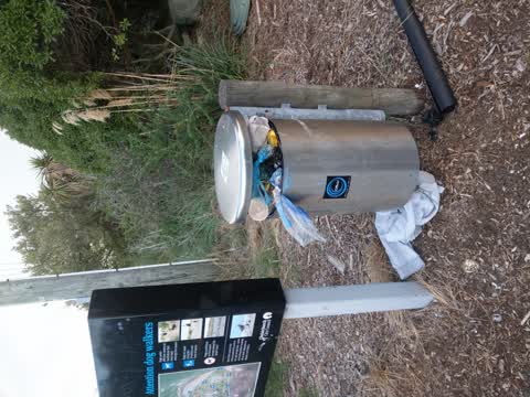 Rubbish/Recycling — a report photo