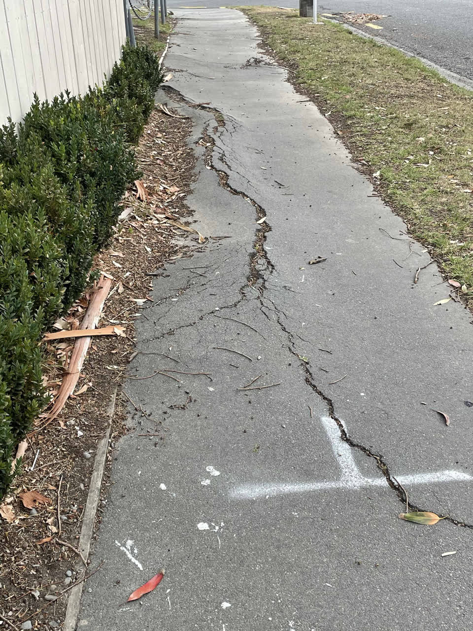 The photograph attached to this roading/streets report