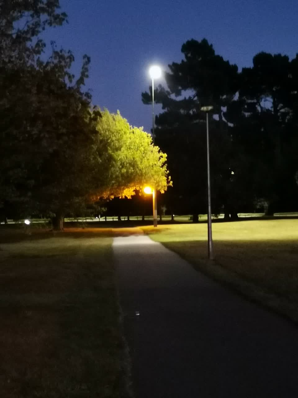 The photograph attached to this street light outage report