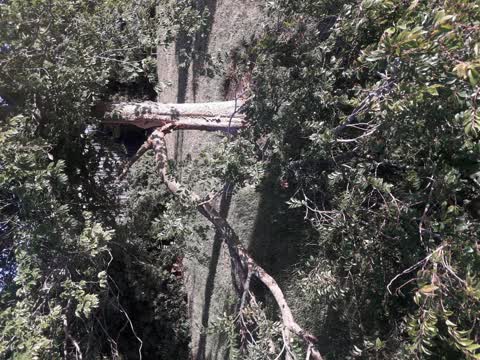 Parks, a report photo