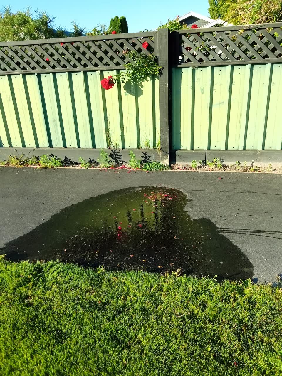 The photograph attached to this water leak report